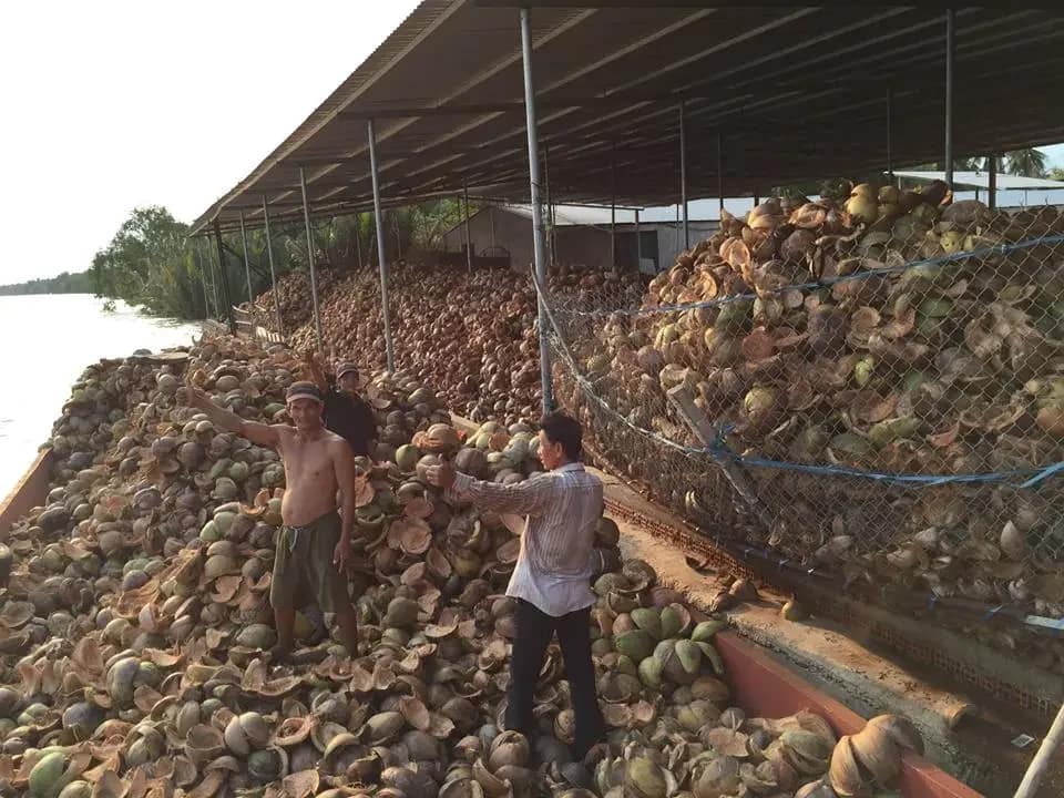 presswood pallet raw material coconut fiber, coconut waste