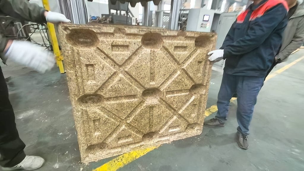 Finished 1200 × 1000 mm reed-based molded pallet